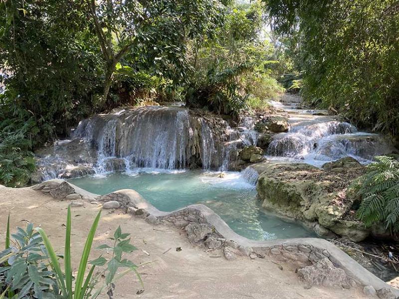 Hình ảnh chú bướm xinh đẹp đầy màu sắc, minh họa cho con bướm tiếng anh là gì và vẻ đẹp của butterfly
